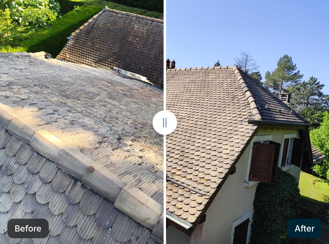 Before and after exterior property care example 6